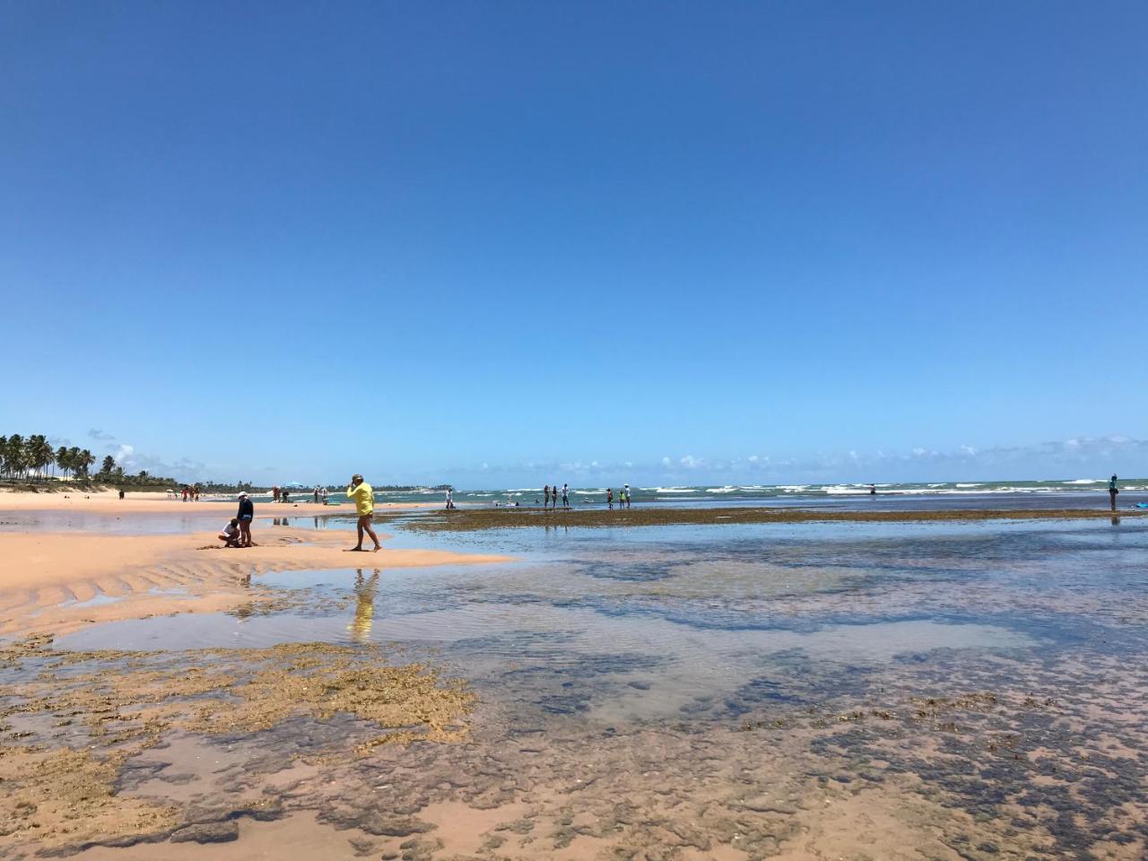 Flat Guarajuba Beira Da Praia Pe Na Areia エクステリア 写真
