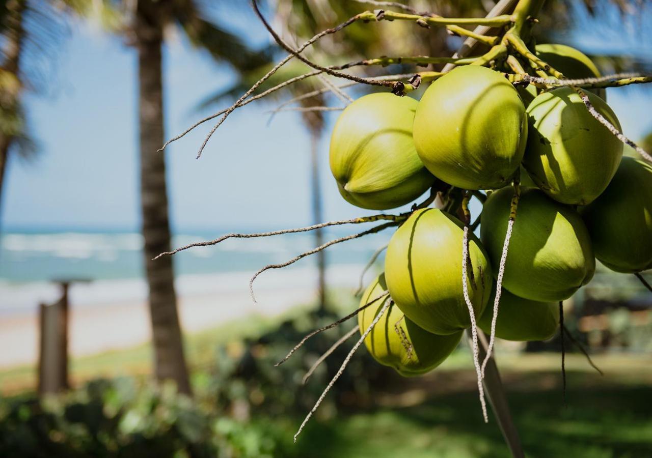 Flat Guarajuba Beira Da Praia Pe Na Areia エクステリア 写真